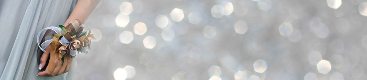 Daddy Daughter Dance is February 3rd!